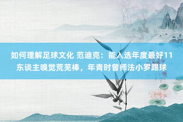 如何理解足球文化 范迪克：能入选年度最好11东谈主嗅觉荒芜棒，年青时曾师法小罗踢球