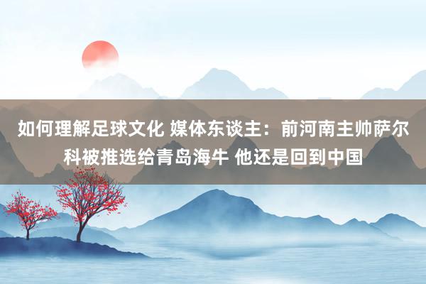 如何理解足球文化 媒体东谈主：前河南主帅萨尔科被推选给青岛海牛 他还是回到中国