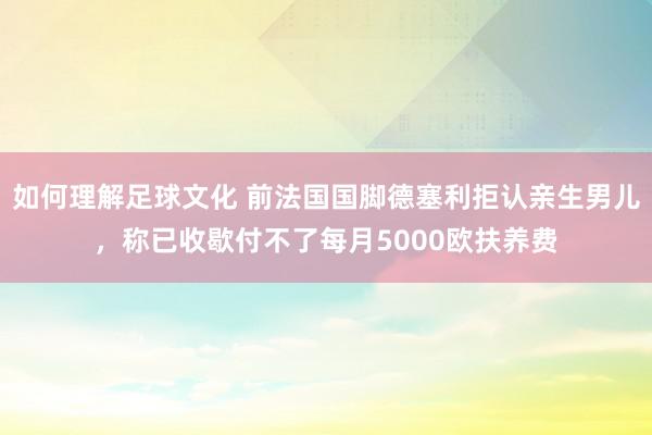 如何理解足球文化 前法国国脚德塞利拒认亲生男儿，称已收歇付不了每月5000欧扶养费