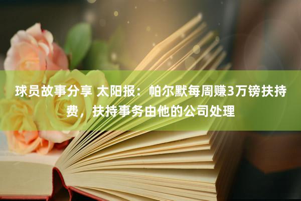 球员故事分享 太阳报：帕尔默每周赚3万镑扶持费，扶持事务由他的公司处理