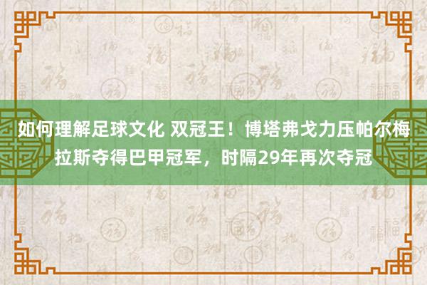 如何理解足球文化 双冠王！博塔弗戈力压帕尔梅拉斯夺得巴甲冠军，时隔29年再次夺冠