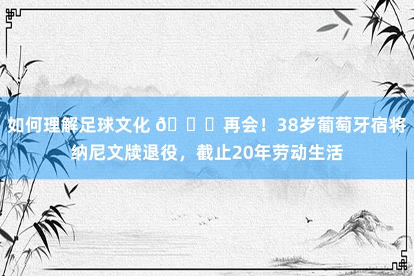 如何理解足球文化 👋再会！38岁葡萄牙宿将纳尼文牍退役，截止20年劳动生活