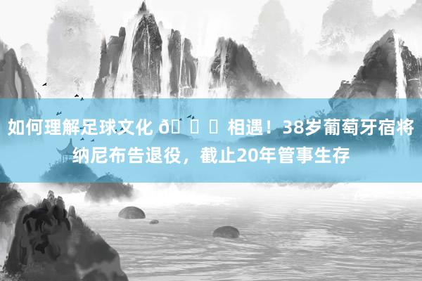 如何理解足球文化 👋相遇！38岁葡萄牙宿将纳尼布告退役，截止20年管事生存