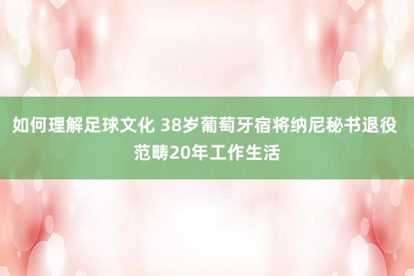 如何理解足球文化 38岁葡萄牙宿将纳尼秘书退役 范畴20年工作生活