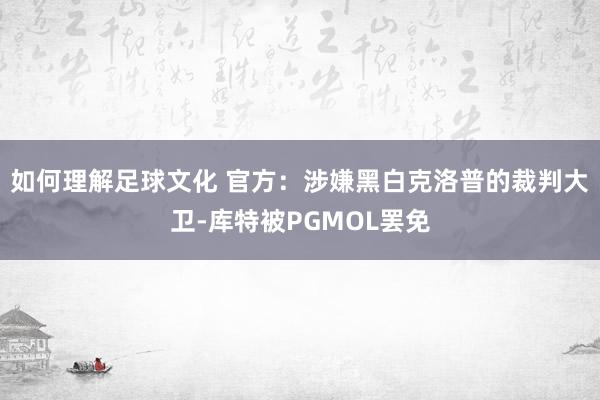 如何理解足球文化 官方：涉嫌黑白克洛普的裁判大卫-库特被PGMOL罢免